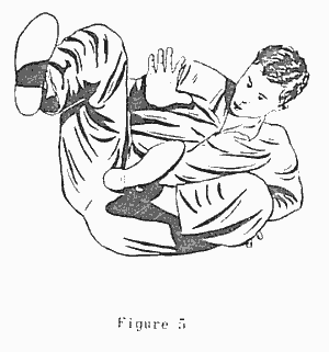 Fig 5