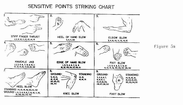 Fig 5A