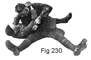 FIG 230