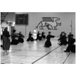 Iaido practice