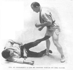 Fig 10