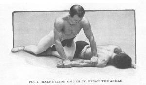 Fig 4