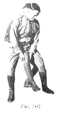 Fig 107