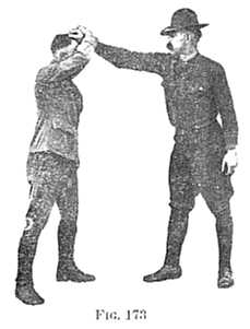 FIG 173