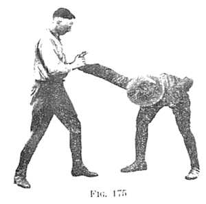 FIG 175
