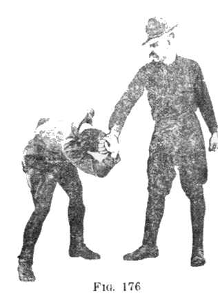 FIG 176