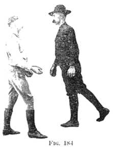 FIG 184