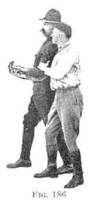 FIG 186