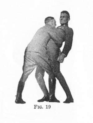 Fig 19