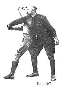 FIG 197