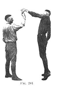 FIG 201