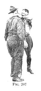 FIG 207