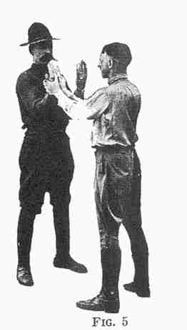Fig 5
