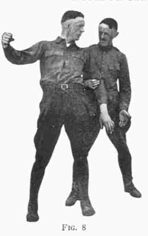 Fig 8