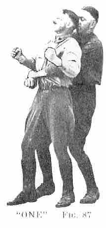 Fig 87