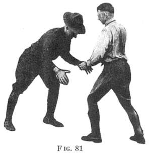 Fig 81